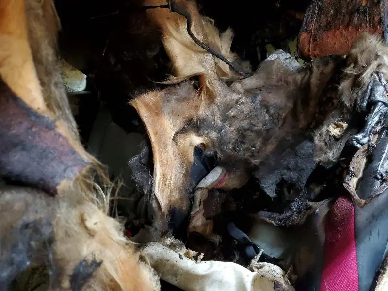 2012 HONDA PILOT EXLN  