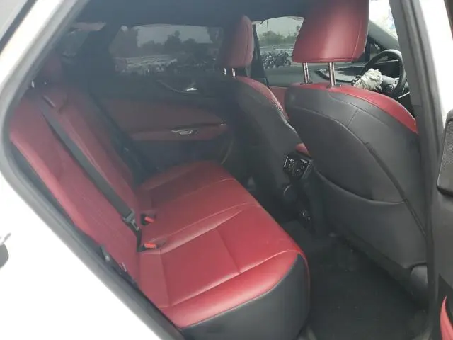2024 LEXUS NX 350 BASE  