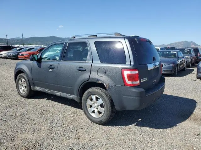 2010 FORD ESCAPE HYBRID  