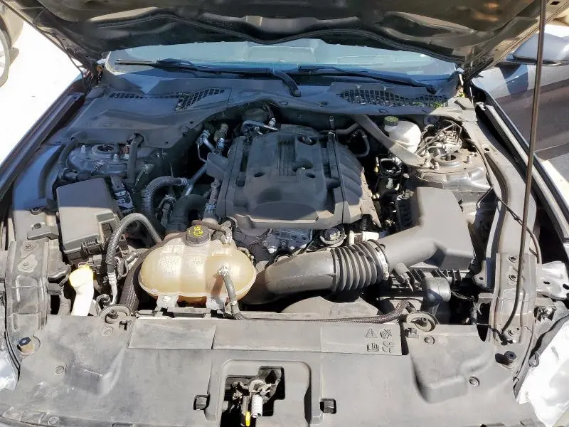 2019 FORD MUSTANG   