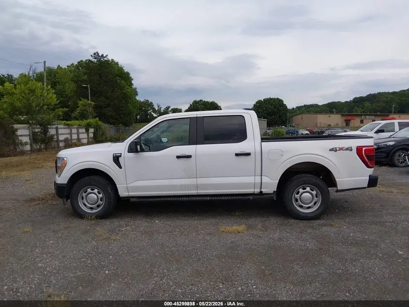 2021 FORD F-150 XL
