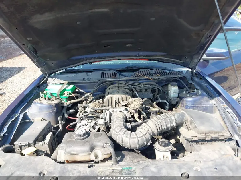 2010 FORD MUSTANG V6/V6 PREMIUM