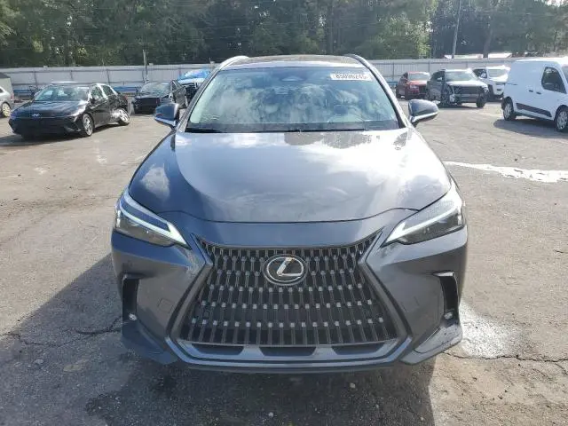 2023 LEXUS NX 350  