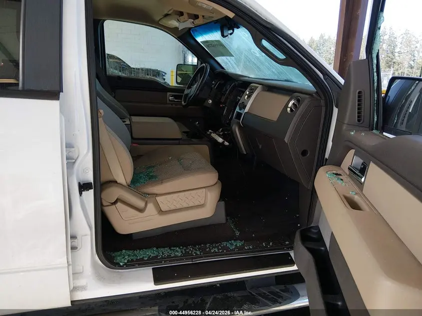 2010 FORD F-150 FX4/HARLEY-DAVIDSON/KING RANCH/LARIAT/PLATINUM/XL/XLT