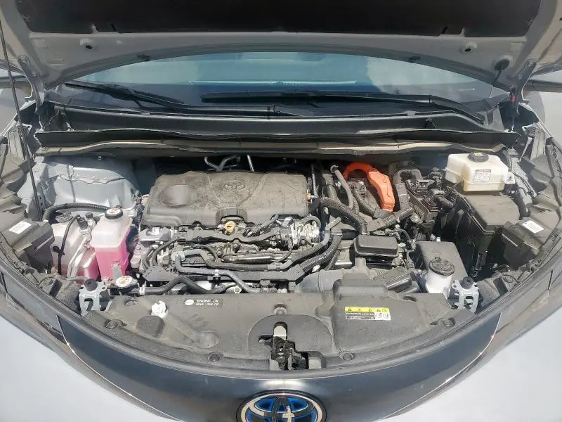 2024 TOYOTA SIENNA XSE  