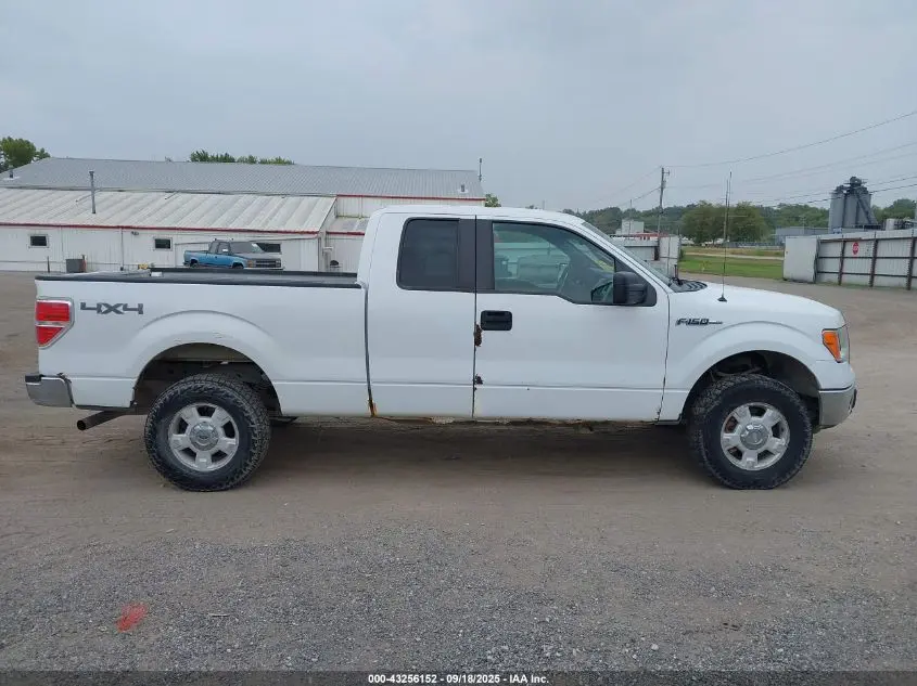 2013 FORD F-150 XLT
