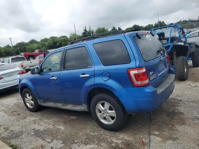 2011 FORD ESCAPE XLT  
