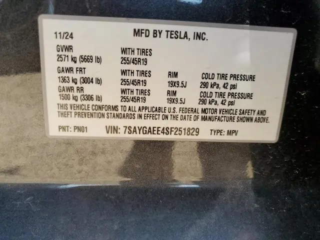 2025 TESLA MODEL Y   