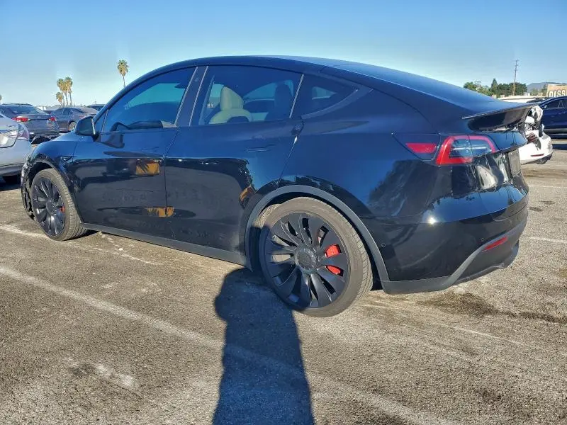 2022 TESLA MODEL Y   