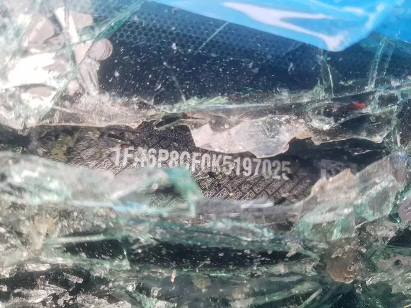 2019 FORD MUSTANG GT  