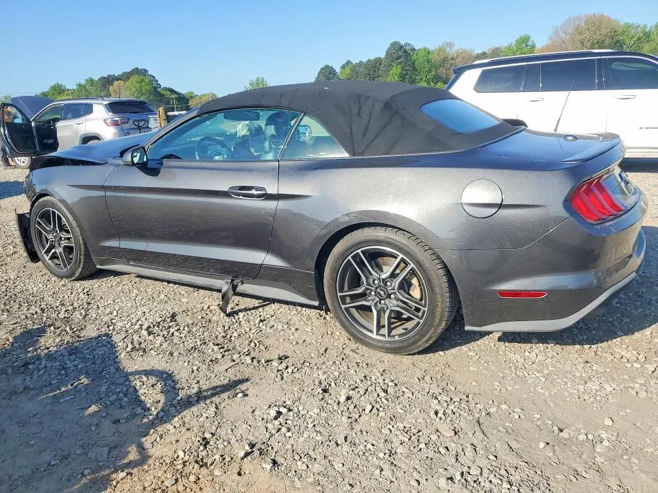 2019 FORD MUSTANG   