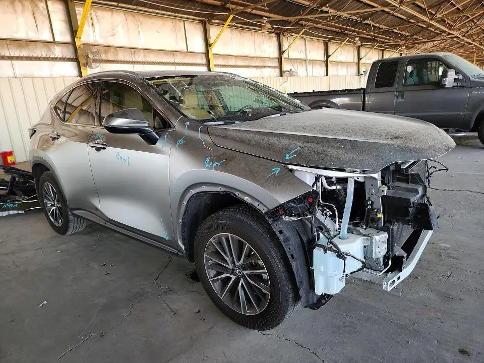 2025 LEXUS NX   