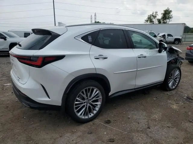 2024 LEXUS NX 350 LUXURY  
