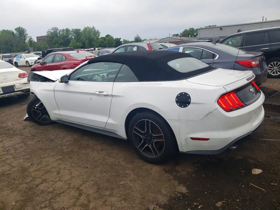 2019 FORD MUSTANG   
