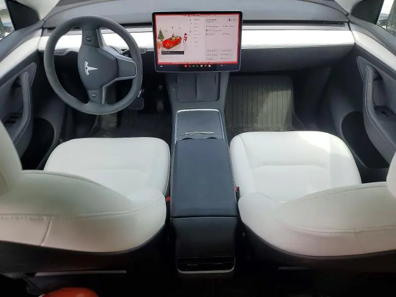 2025 TESLA MODEL Y   