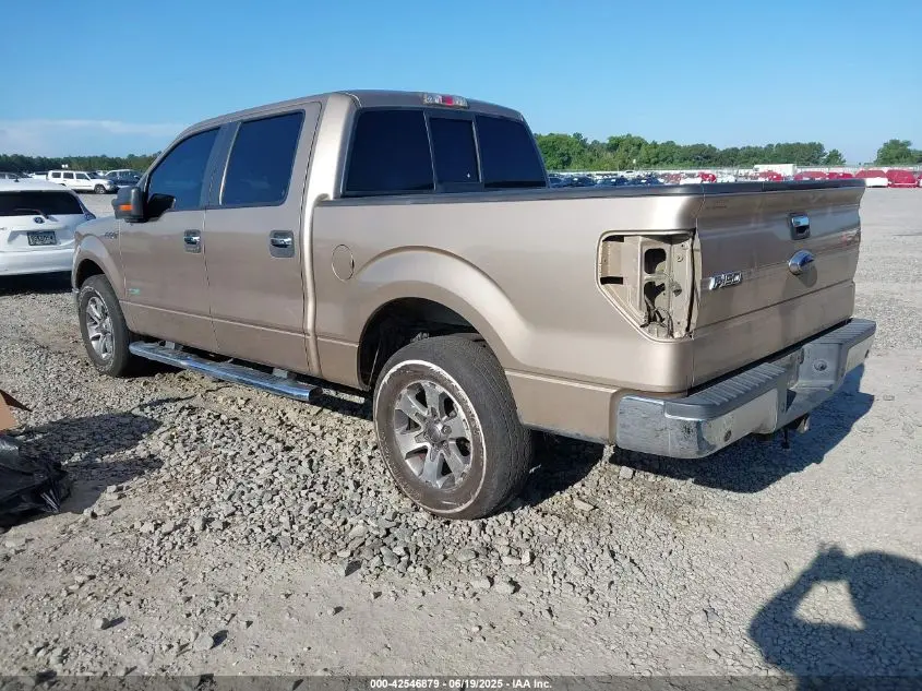 2013 FORD F-150 XLT
