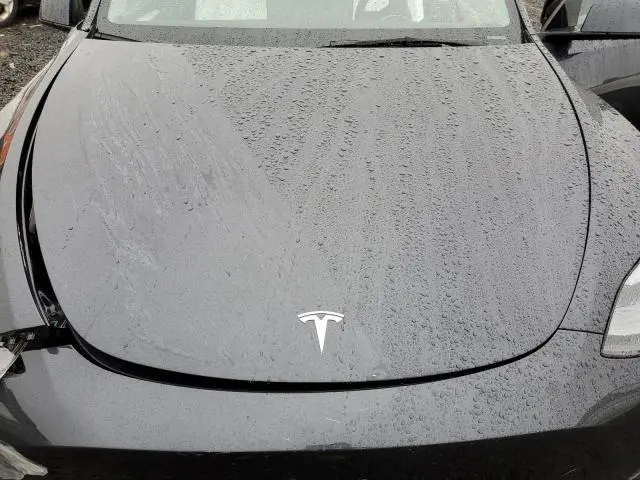 2025 TESLA MODEL Y 