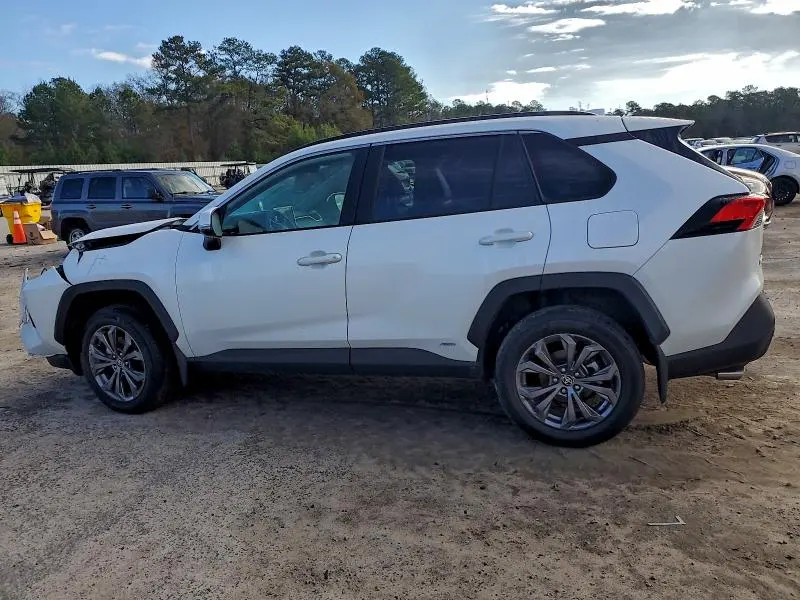 2024 TOYOTA RAV4 XLE PREMIUM  
