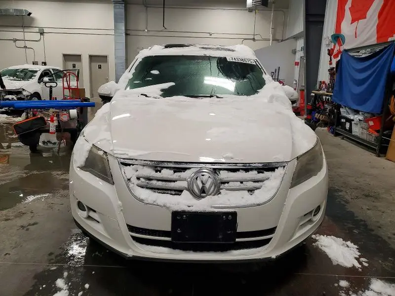 2010 VOLKSWAGEN TIGUAN SE  