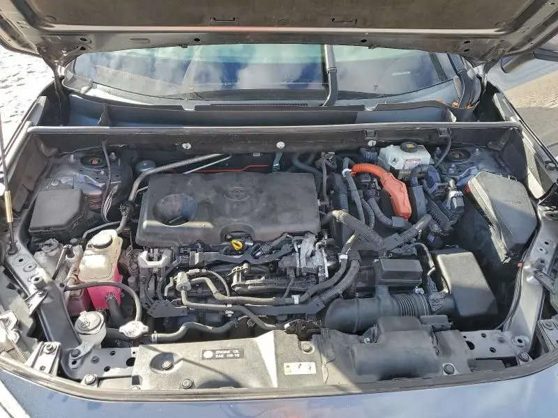 2019 TOYOTA RAV4 XLE  