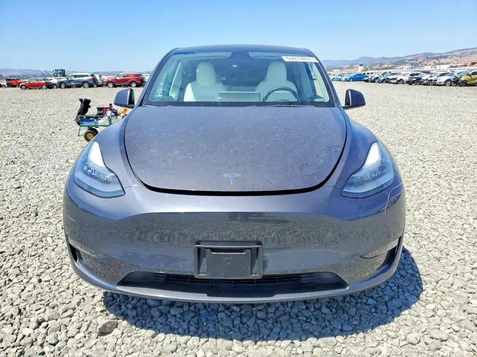 2021 TESLA MODEL Y   