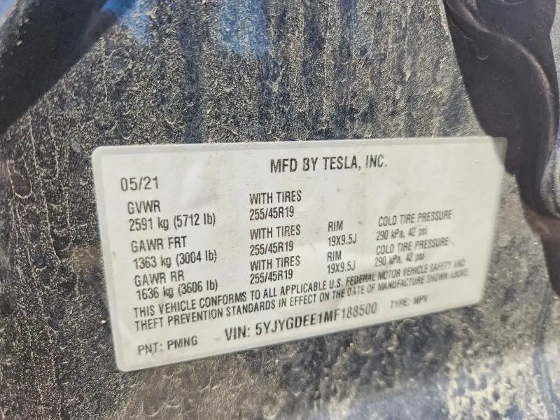 2021 TESLA MODEL Y   