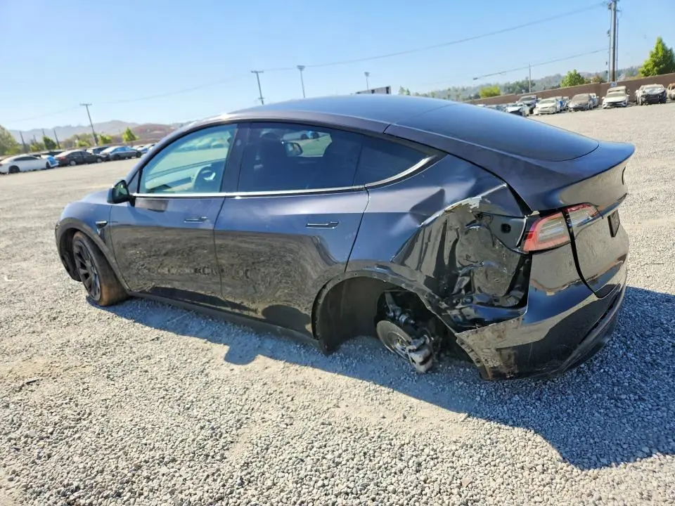 2024 TESLA MODEL Y   