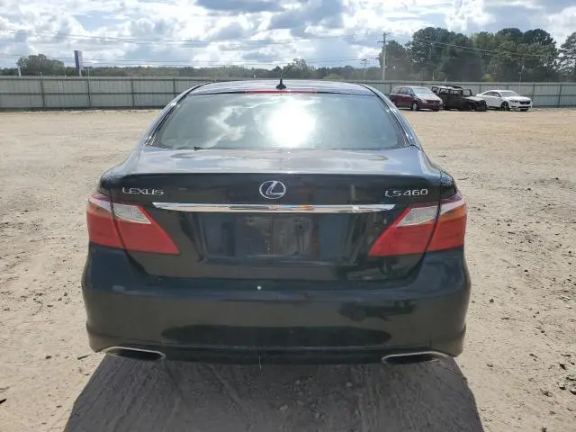 2010 LEXUS LS 460