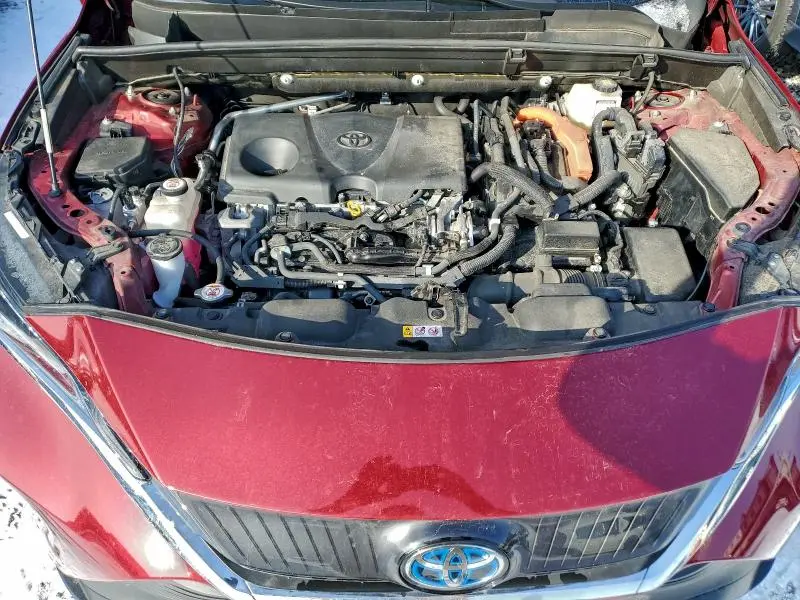 2021 TOYOTA VENZA LE  