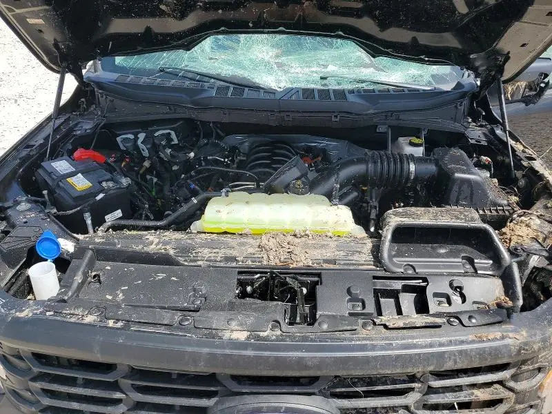 2025 FORD F150 XL  