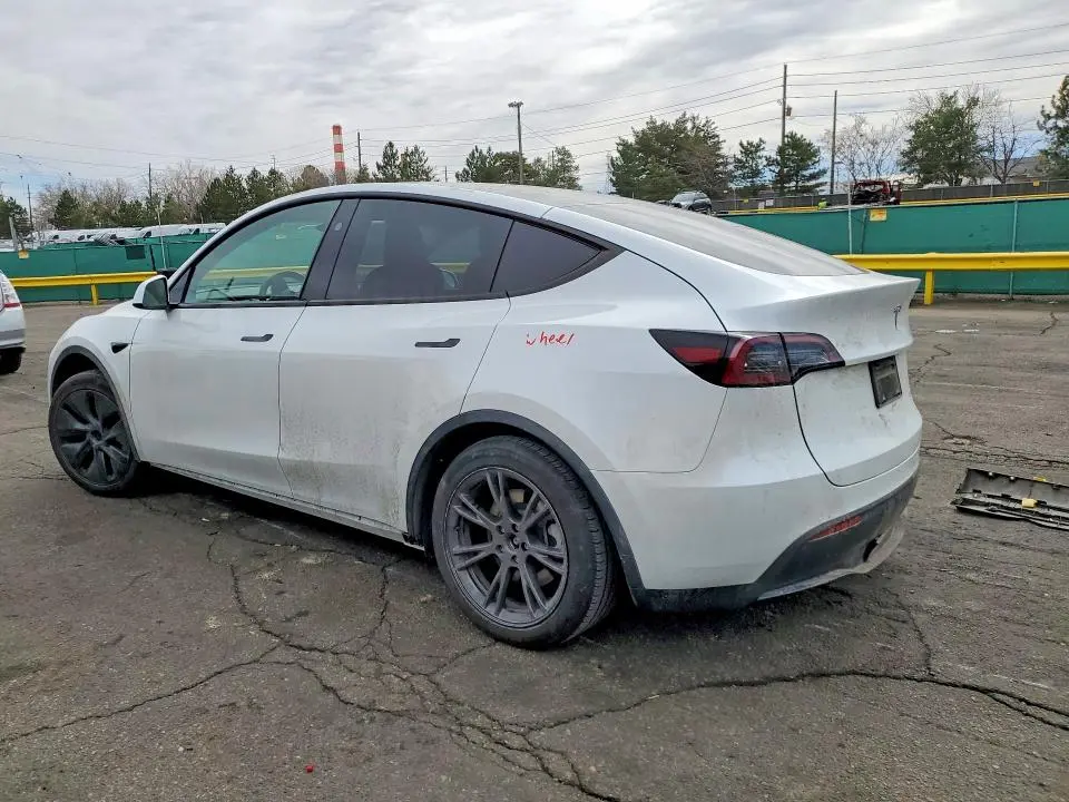 2024 TESLA MODEL Y   
