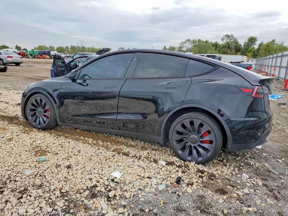 2024 TESLA MODEL Y   