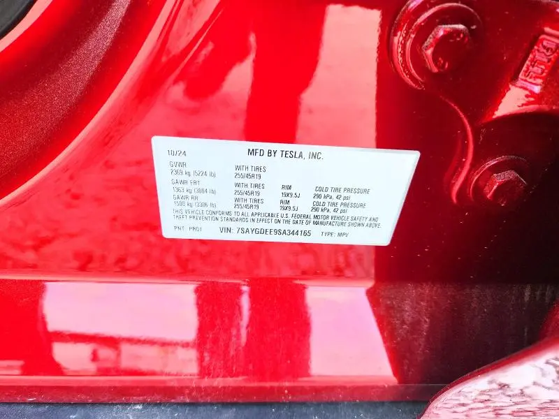 2025 TESLA MODEL Y   
