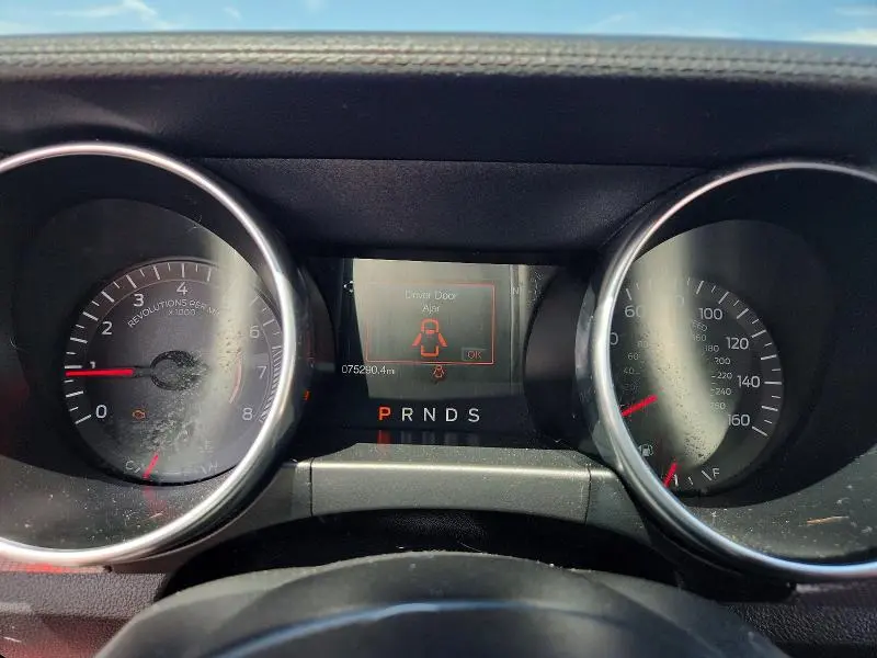 2019 FORD MUSTANG   