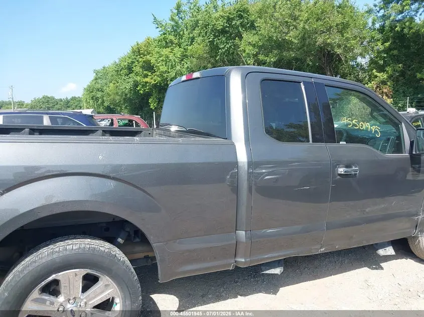 2019 FORD F-150 XLT