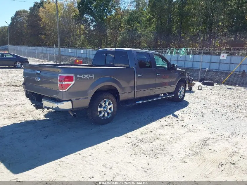 2014 FORD F-150 XLT