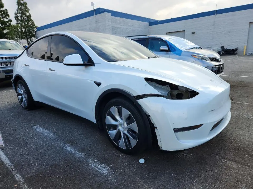 2021 TESLA MODEL Y   