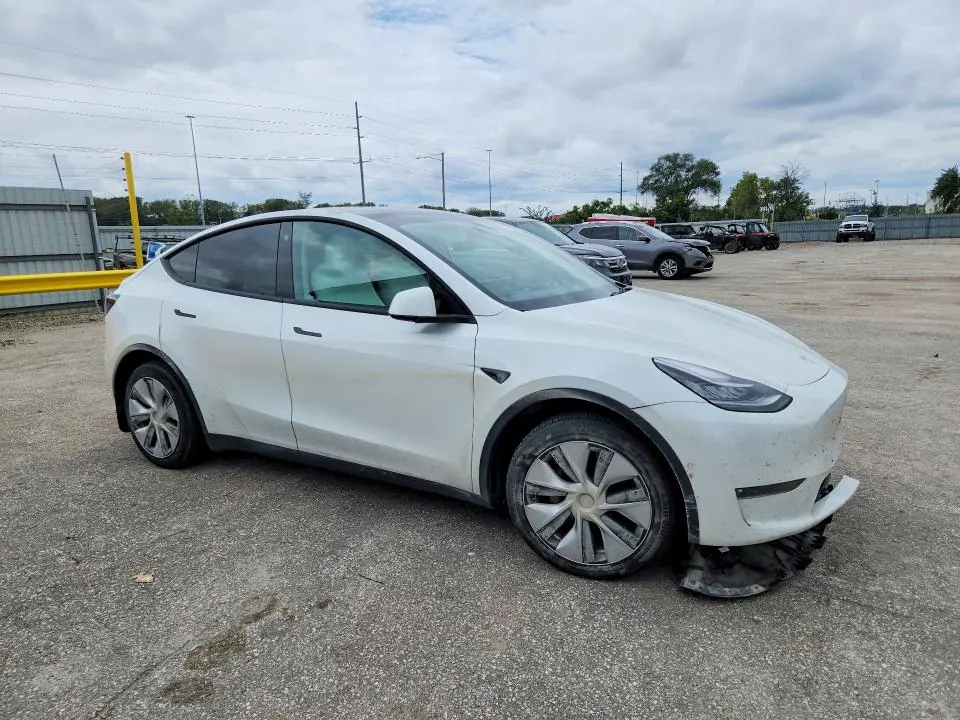 2021 TESLA MODEL Y   