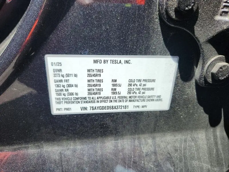 2025 TESLA MODEL Y   