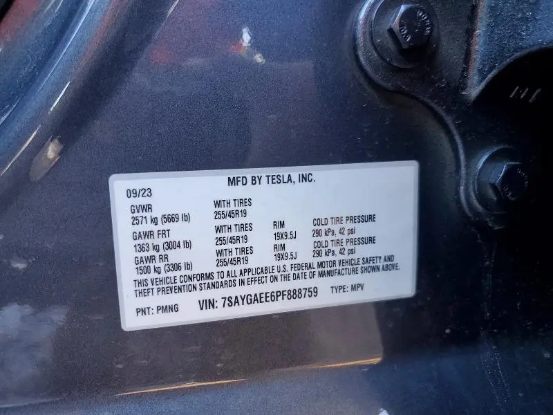 2023 TESLA MODEL Y   