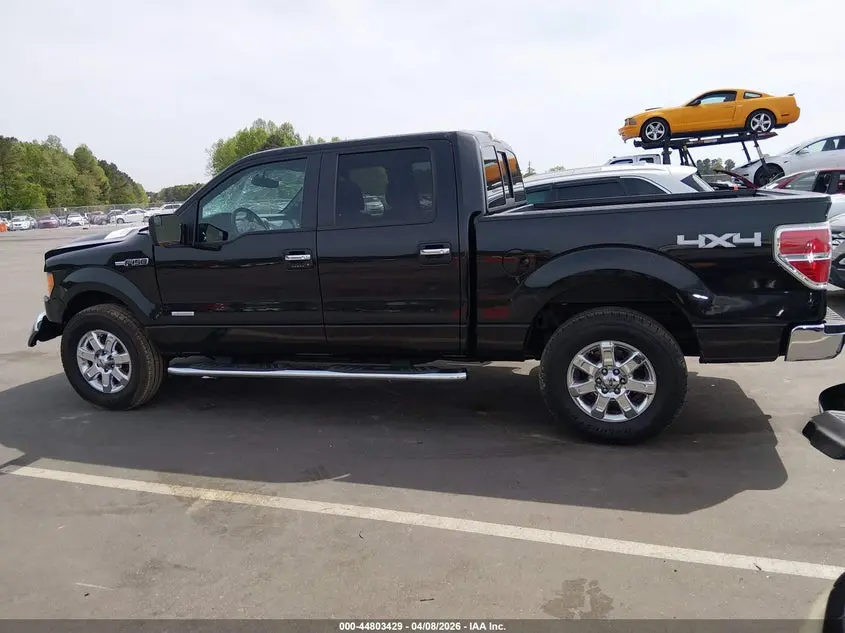2013 FORD F-150 XLT
