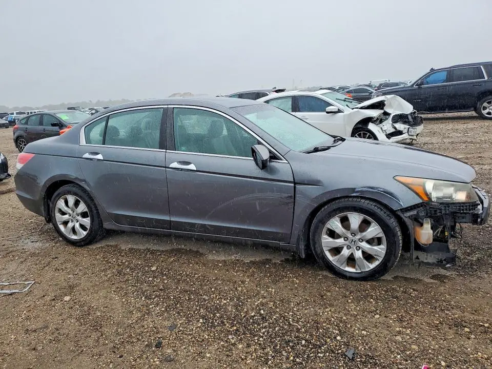 2010 HONDA ACCORD EXL  