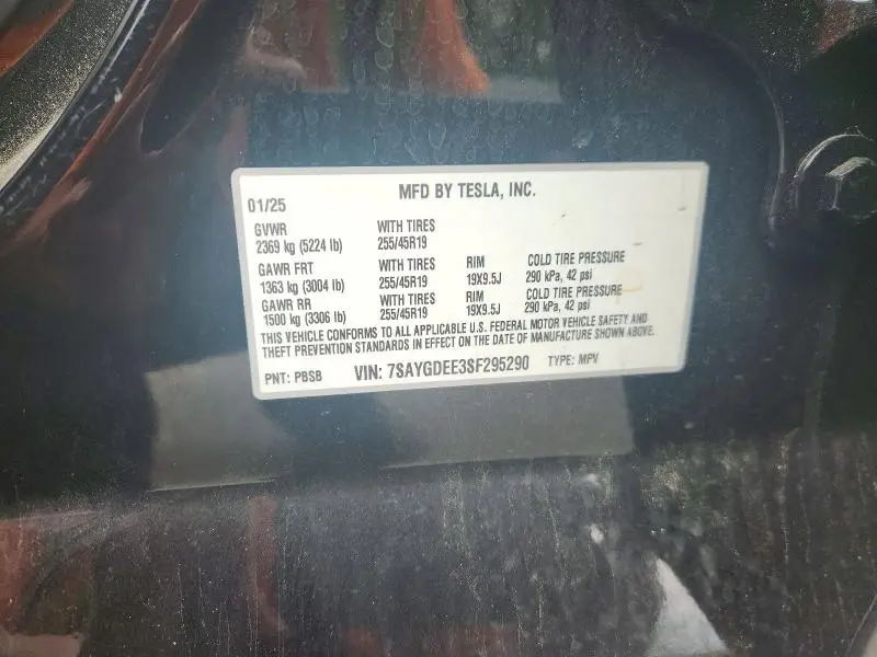 2025 TESLA MODEL Y   
