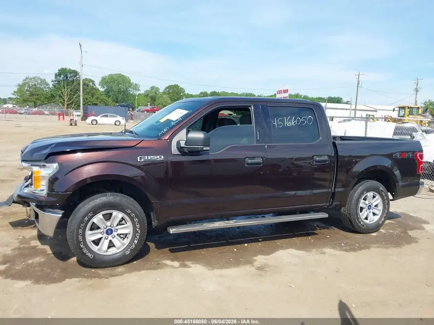 2019 FORD F-150 XLT
