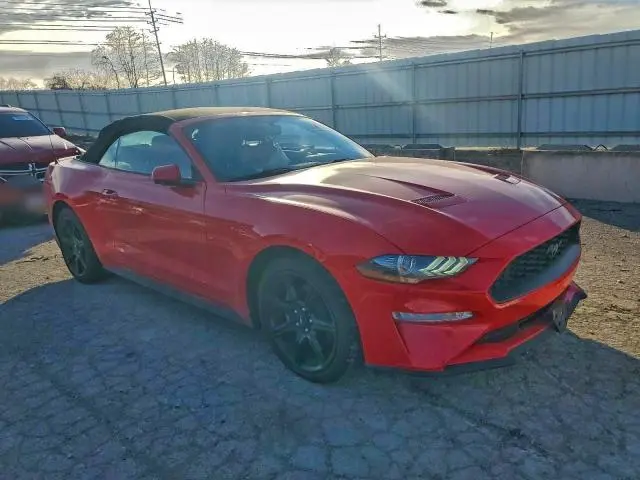 2019 FORD MUSTANG   