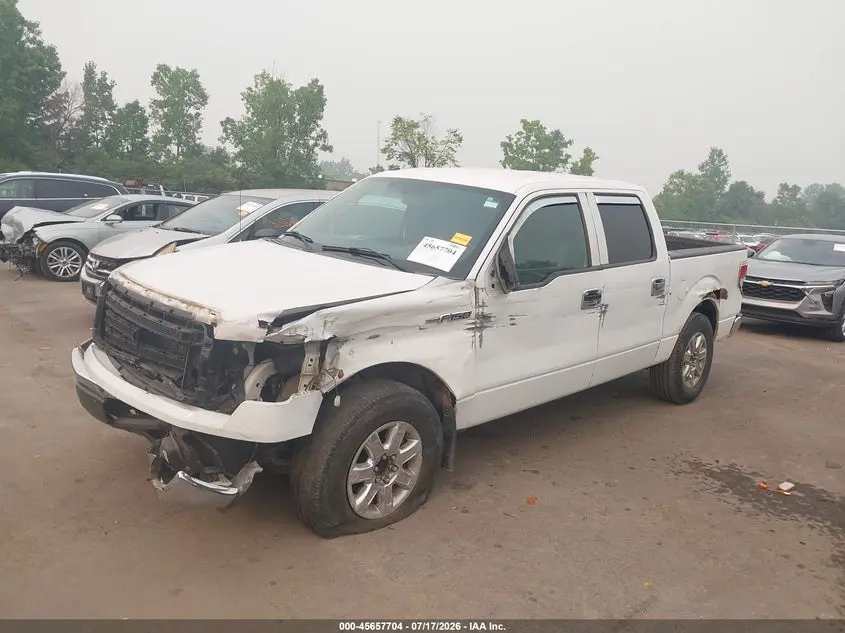 2014 FORD F-150 XLT