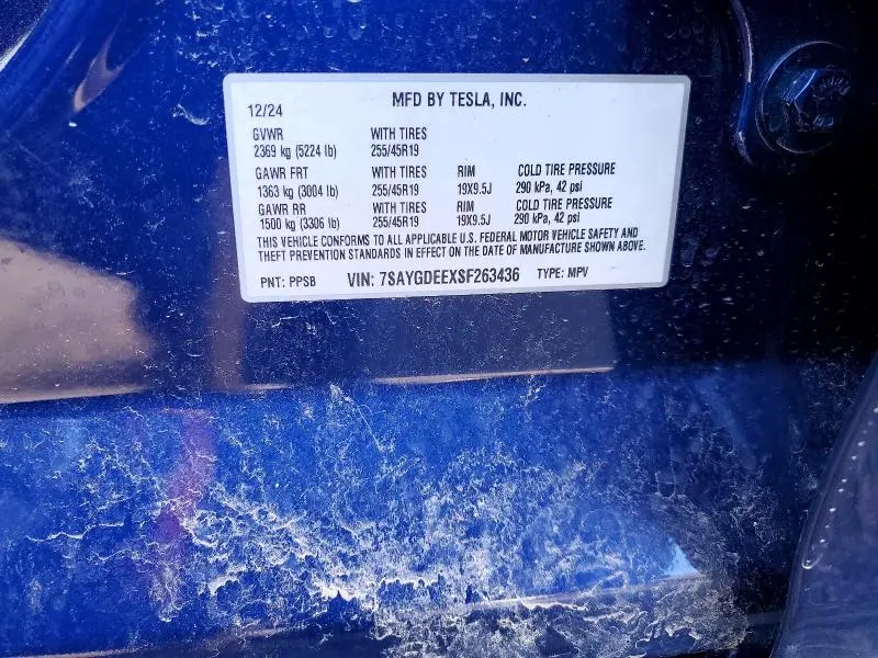 2025 TESLA MODEL Y   