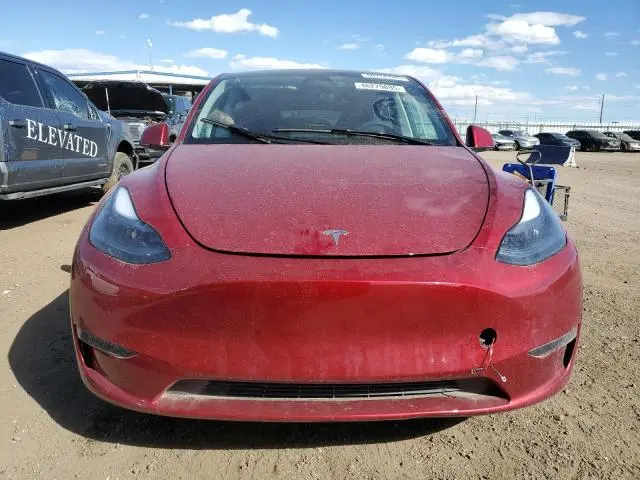 2025 TESLA MODEL Y 