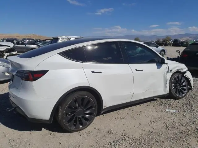 2021 TESLA MODEL Y   