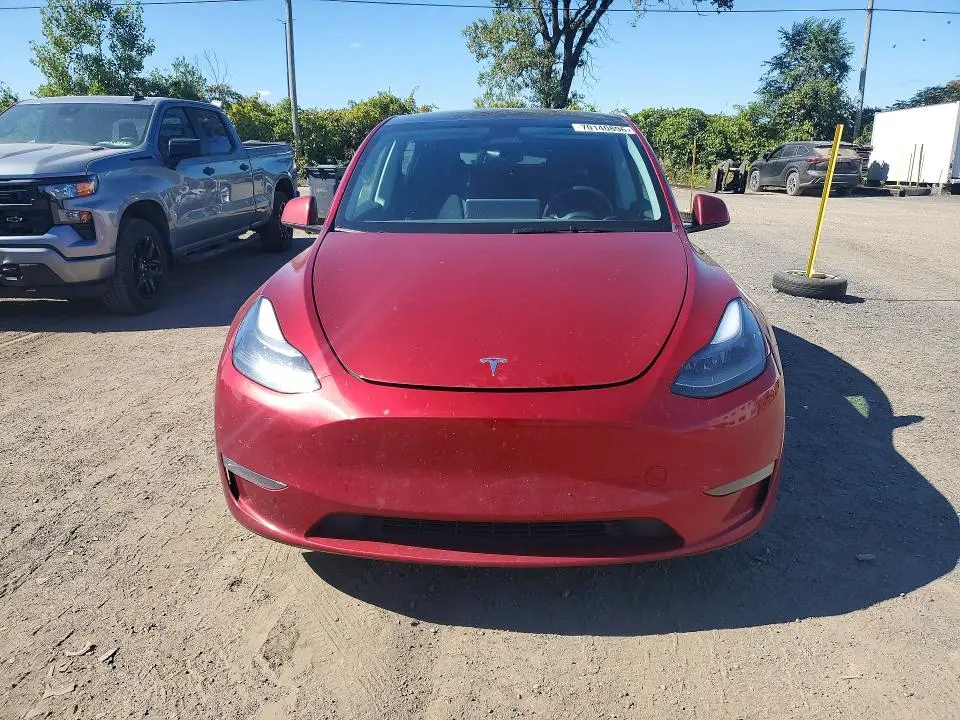 2024 TESLA MODEL Y   